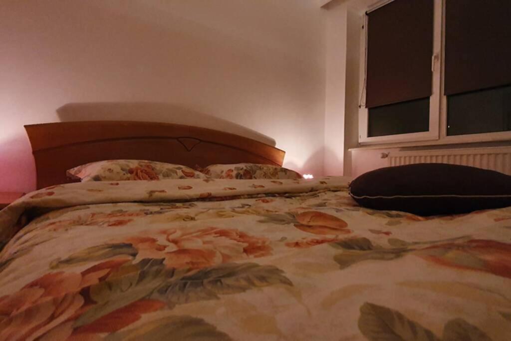 Titian'S Cozy Apartment Σίμπιου Εξωτερικό φωτογραφία